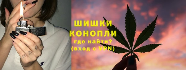 ПСИЛОЦИБИНОВЫЕ ГРИБЫ Арсеньев