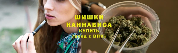 ПСИЛОЦИБИНОВЫЕ ГРИБЫ Арсеньев