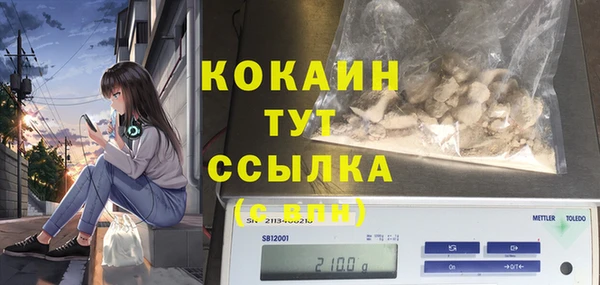 ПСИЛОЦИБИНОВЫЕ ГРИБЫ Арсеньев