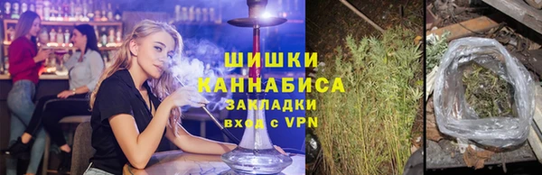 ПСИЛОЦИБИНОВЫЕ ГРИБЫ Арсеньев