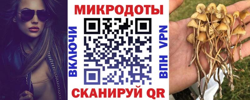 Купить закладки  Джанкой  Псилоцибиновые грибы мицелий 
